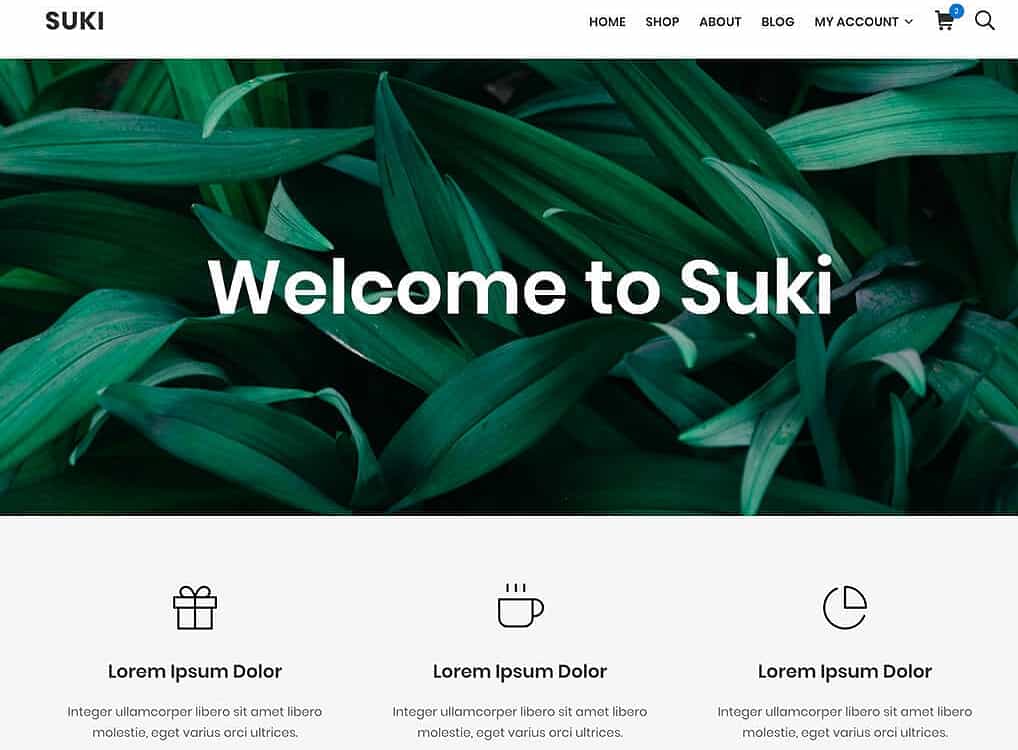 Choose Suki as fast WordPress theme for your website